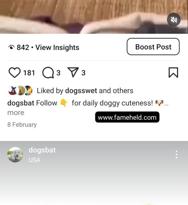 Buy Instagram Account