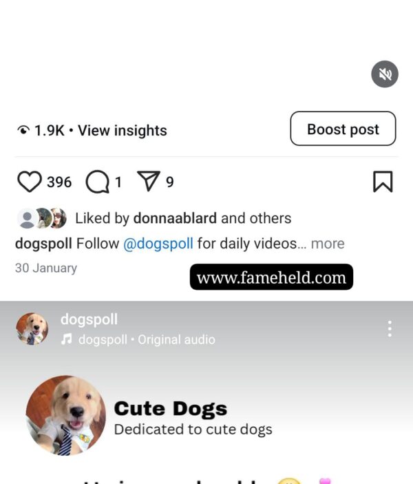 Buy Instagram Account