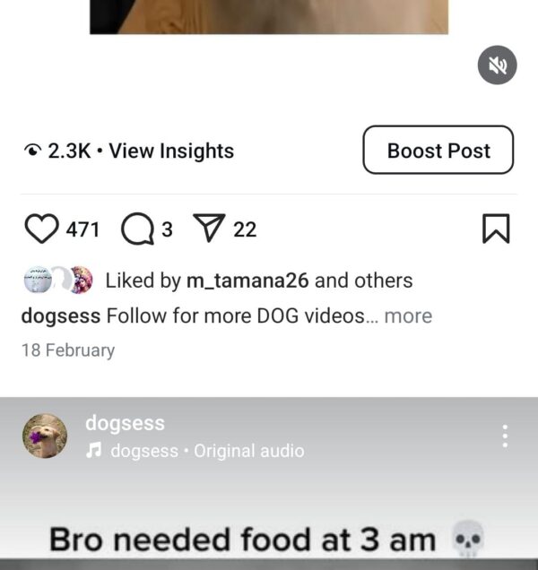 Buy Instagram Account