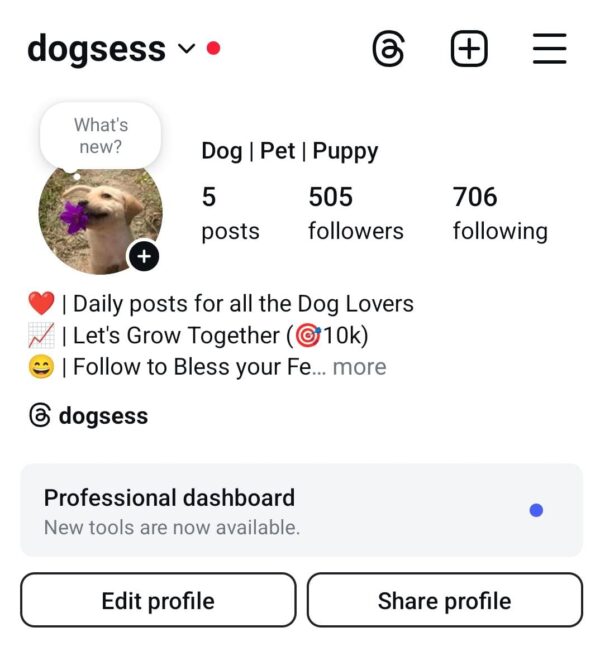 Buy Instagram Account