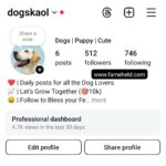 Buy Instagram Account