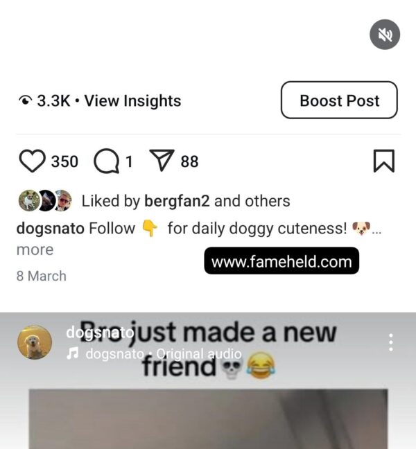 Buy Instagram Account