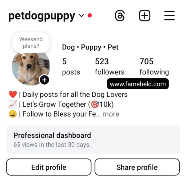 Buy Instagram Account