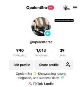 1k tiktok