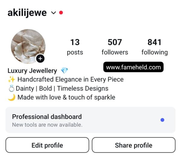Buy High quality Instagram Accounts