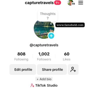 Buy Tiktok Accounts