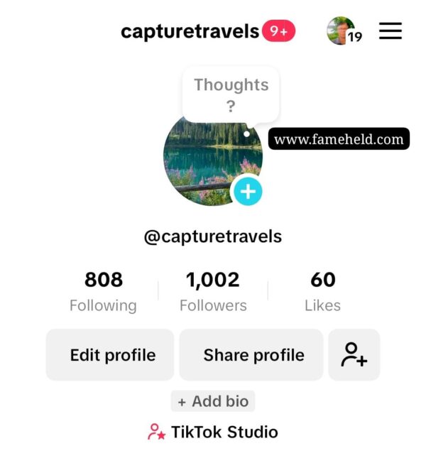 Buy Tiktok Accounts
