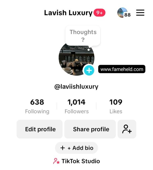 Buy TikTok Accounts