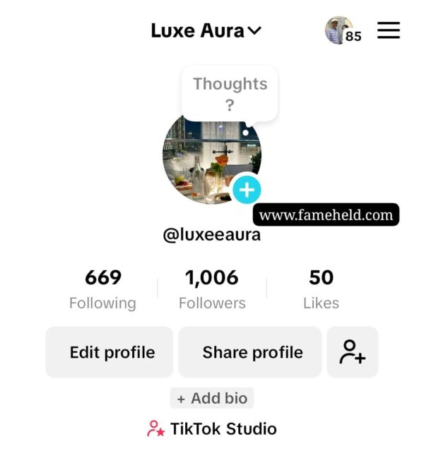 Buy TikTok Accounts