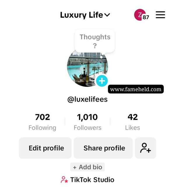 Buy TikTok Accounts