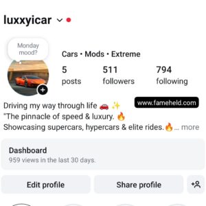 Buy Instagram Accounts