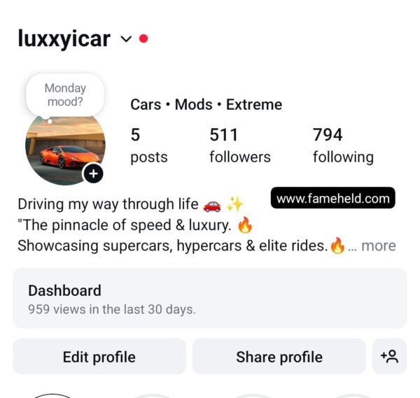 Buy Instagram Accounts