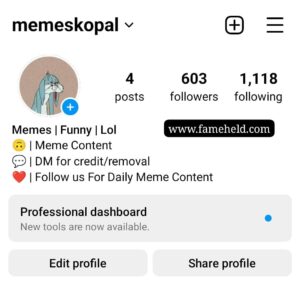 Buy Instagram Account