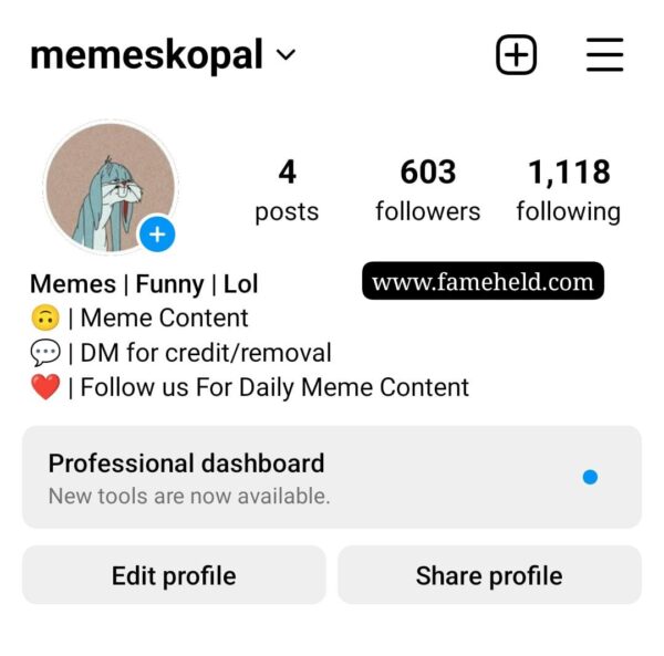 Buy Instagram Account