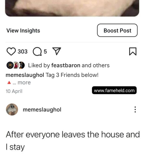 Buy Instagram Accounts
