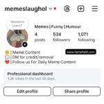 Buy Instagram Accounts