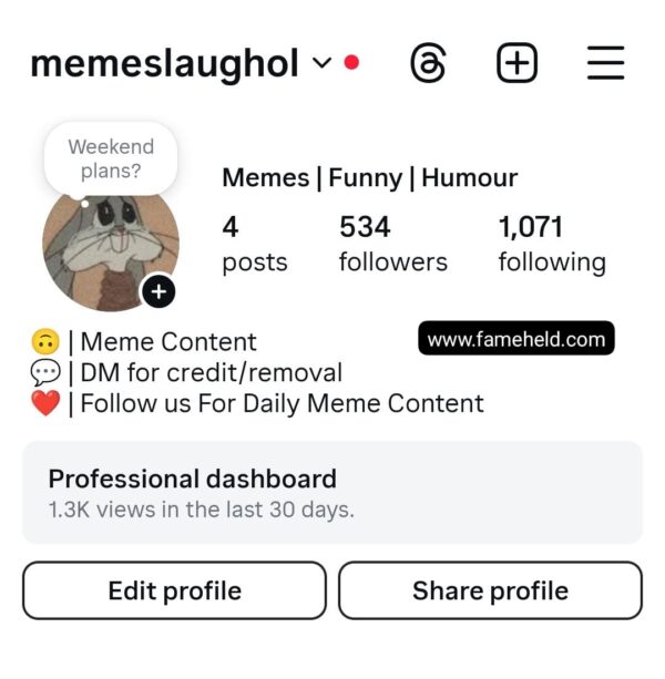 Buy Instagram Accounts
