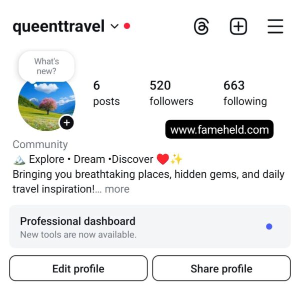 Buy Instagram Accounts