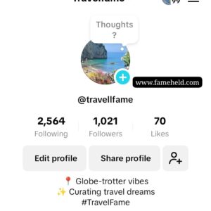 Buy TikTok Accounts