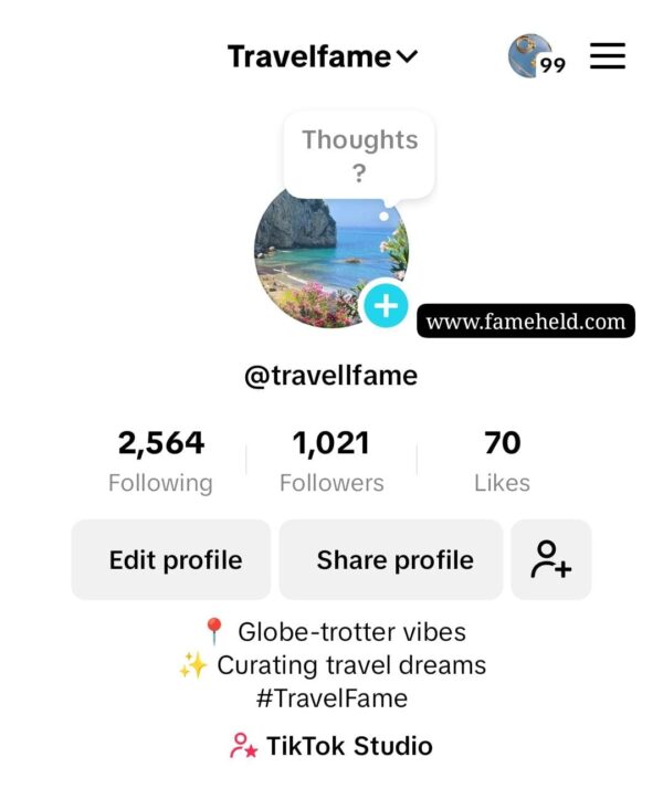 Buy TikTok Accounts