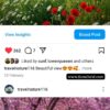 Buy Instagram Account