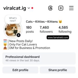 Buy Instagram Account