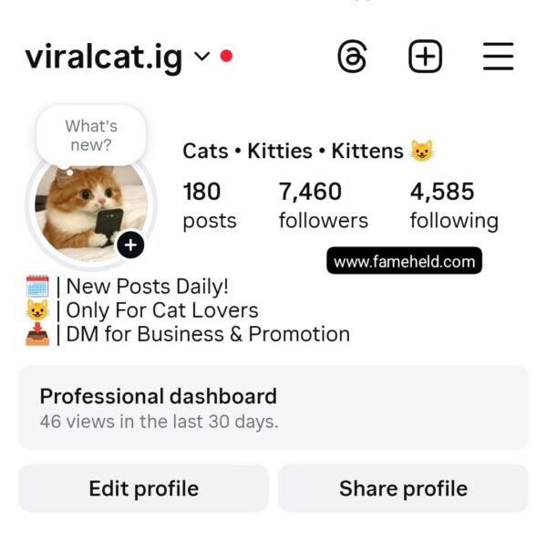Buy Instagram Account