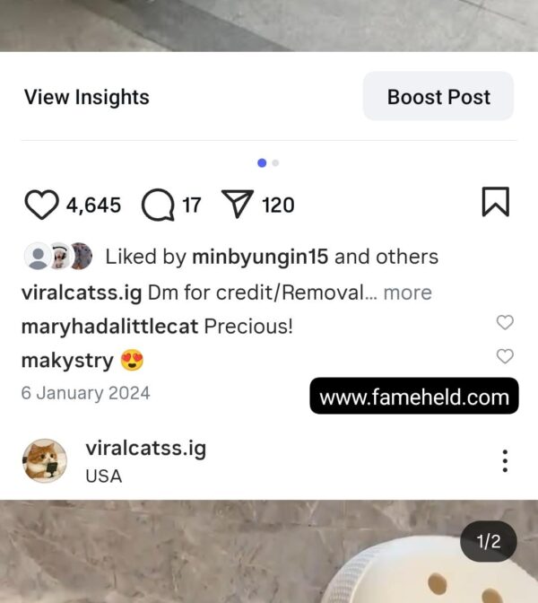 Buy Instagram Account