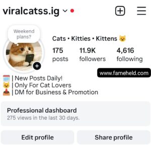 Buy Instagram Account