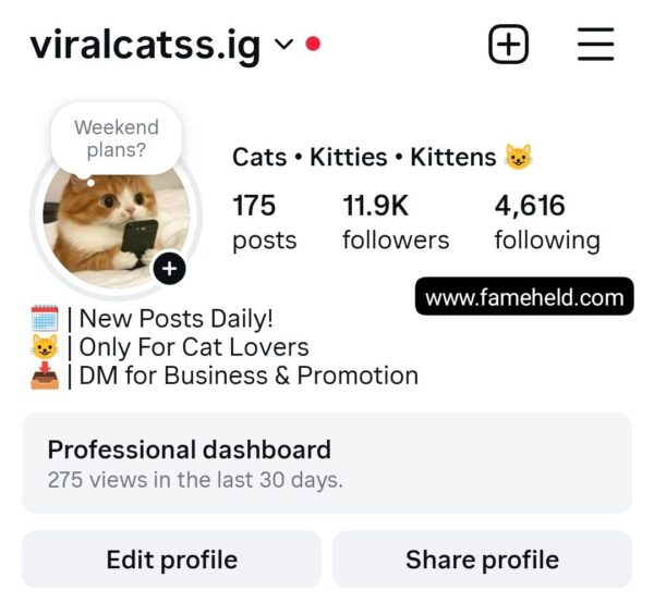 Buy Instagram Account