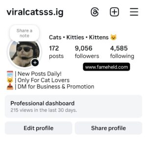 Buy Instagram Account