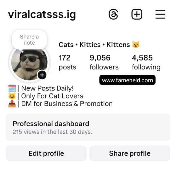 Buy Instagram Account