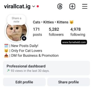 Buy Instagram Account