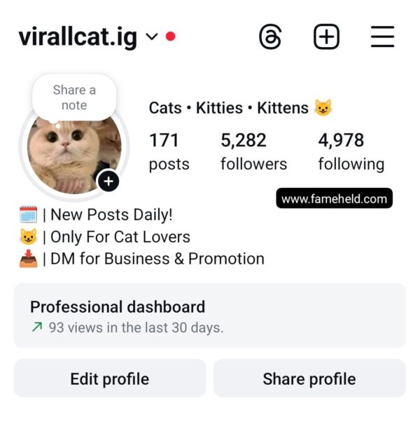 Buy Instagram Account