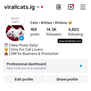 Buy Instagram Account