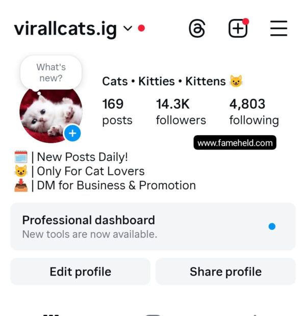 Buy Instagram Account