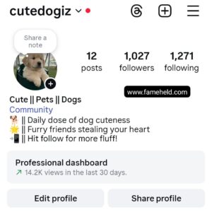 Buy Instagram Account