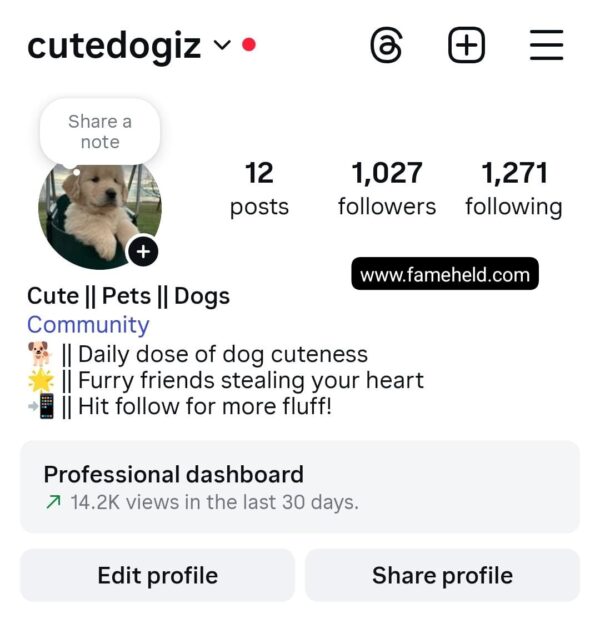 Buy Instagram Account