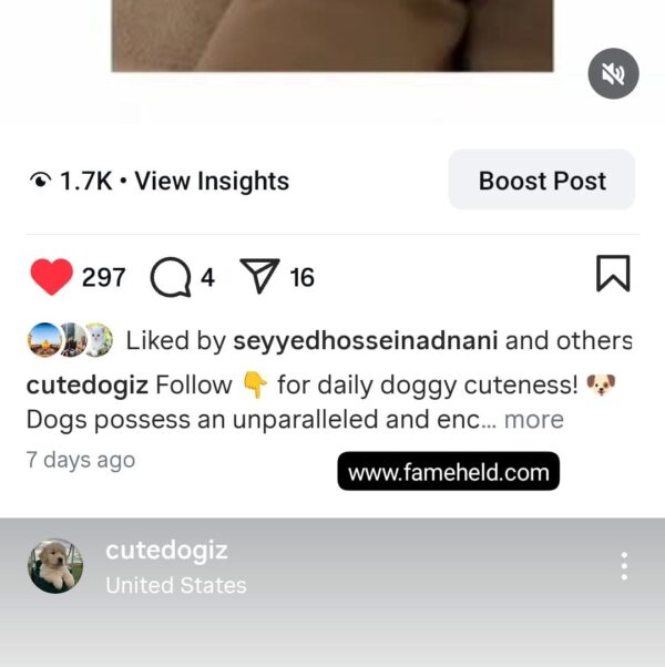 Buy Instagram Account