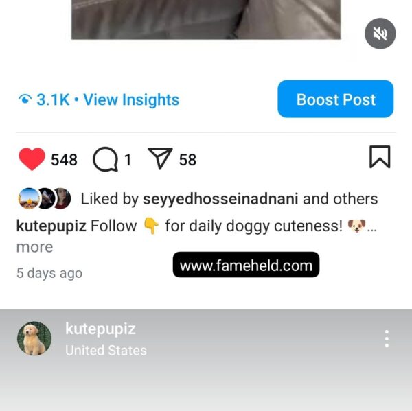 Buy Instagram Account