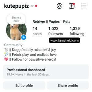 Buy Instagram Account