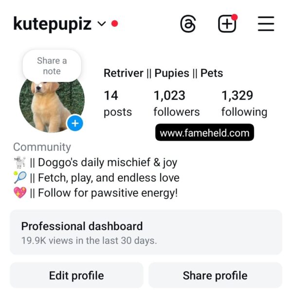 Buy Instagram Account