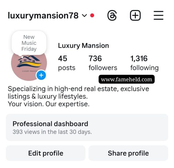 Buy Instagram Account