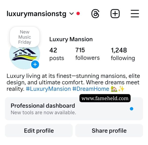 Buy Instagram Account