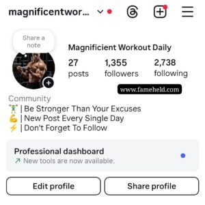 Buy Instagram Account