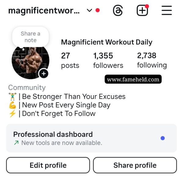 Buy Instagram Account
