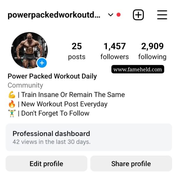 Buy Instagram Account