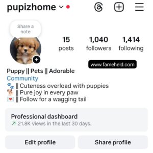 Buy Instagram Account