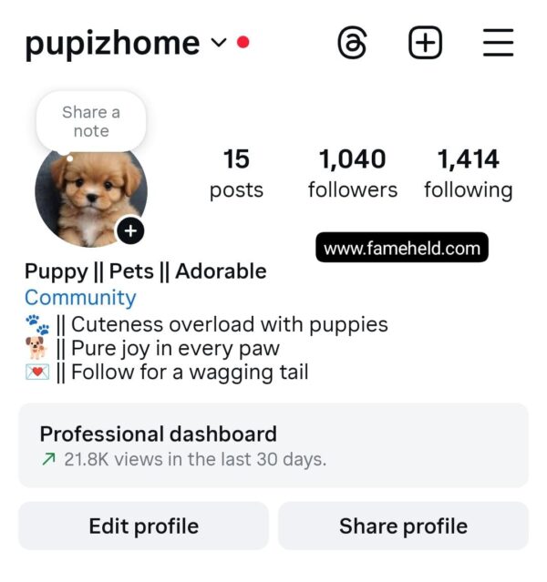 Buy Instagram Account