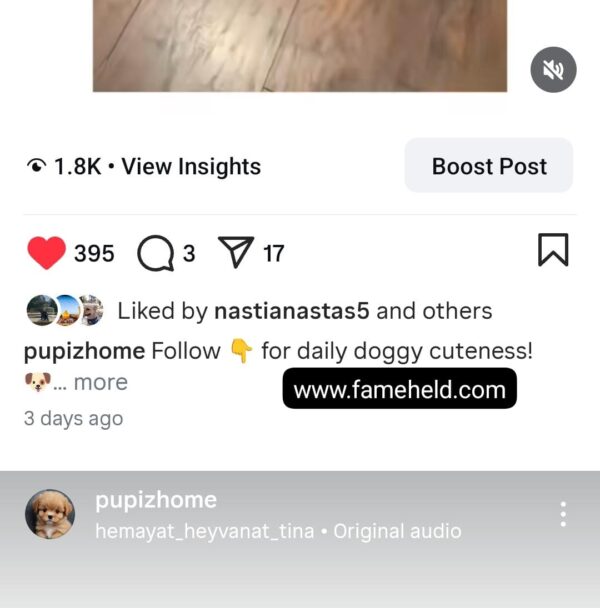 Buy Instagram Account